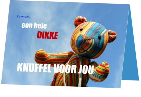 Vriendschapskaart knuffel knuffelbeer