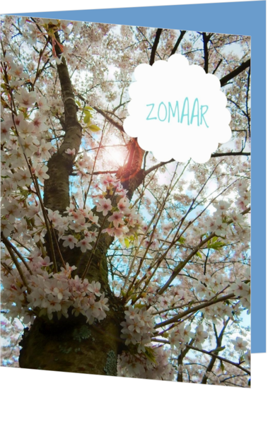 Zomaar bloesemboom