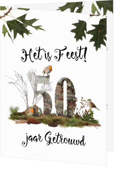 Het is feest 50 jaar getrouwd!