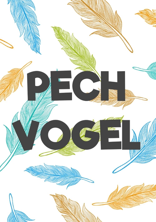 Beterschapskaart voor pechvogel met veren Voorkant