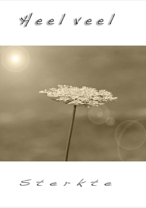 Bloem afbeelding in sepia Voorkant