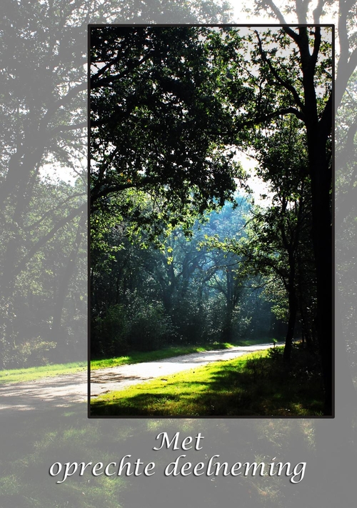 Condoleance kaart zon in het bos Voorkant