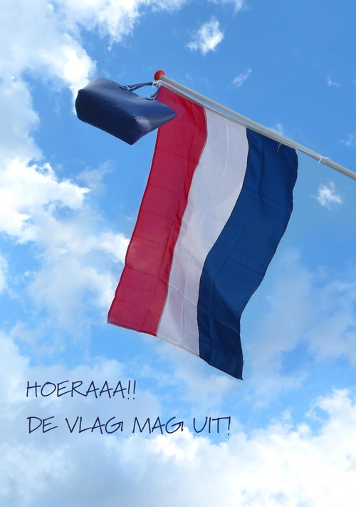 Geslaagd kaart vlag lucht Voorkant