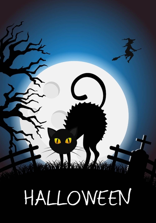 Halloween zwarte kat Voorkant