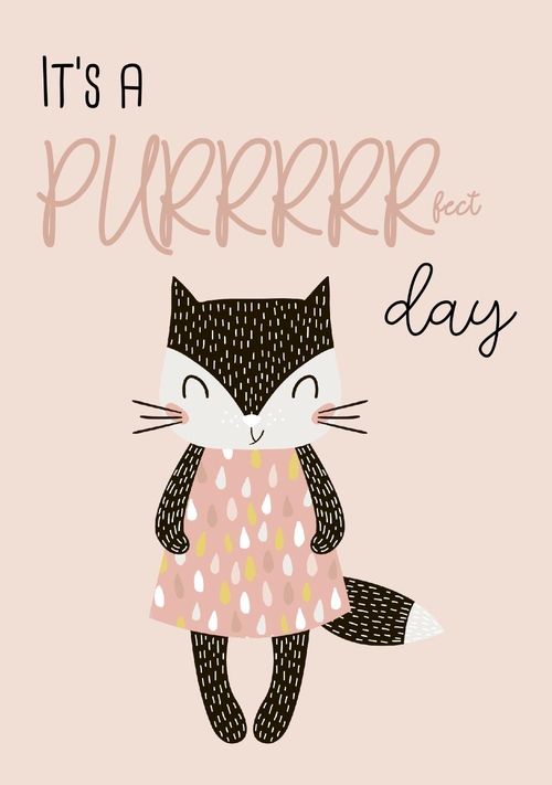 puuuuuurfect day Voorkant