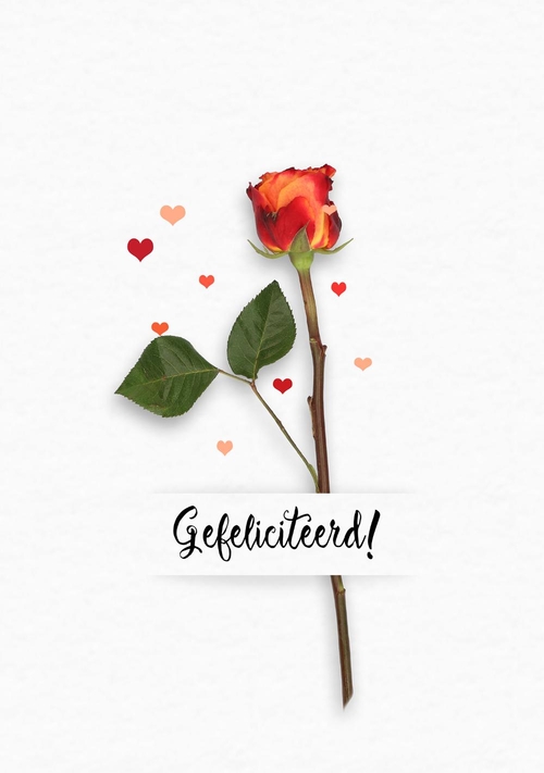 Felicitatiekaart bloem rood Voorkant