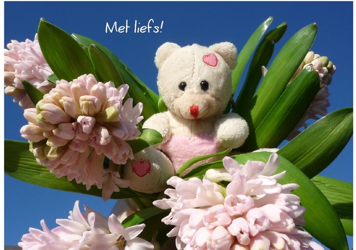 Liefdeskaart lieve knuffelbeer met bloemen Voorkant